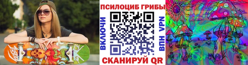 Галлюциногенные грибы Psilocybe  как найти закладки  Заводоуковск 