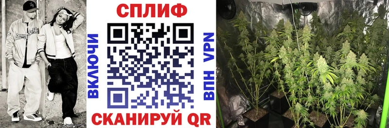 что такое наркотик  Заводоуковск  МАРИХУАНА Amnesia 